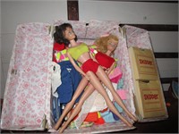 Fantastic Collection for the Barbie Fan