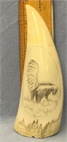6" Whale's tooth scrimmed with a skunk         (k