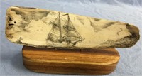 7.5" Fossilized walrus ivory scrimmed with double