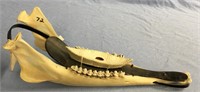 Caribou jawbone sled, overall length is 12" with b