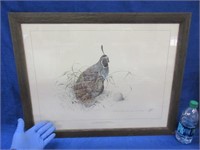"quail" 1974 bruce harvey lithograph - signed