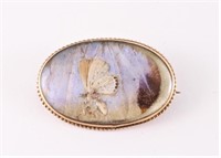 14K Gold Brooch with Butterfly