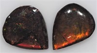 2 Genuine Canadian Ammolite Gemstones JC