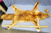 Tanned red fox rugs, there is deterioration of ear