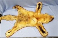 Tanned red fox rugs, there is deterioration of ear