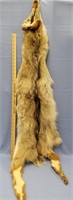 Tanned coyote pelts       (k 99)