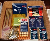 ASSORTED .22 LR - 500 + ROUNDS AMMO