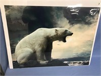 Shrinkwrapped poster of a lone polar bear roaring