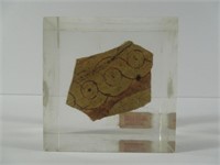 Antique Etruscan Pottery Shard In Lucite