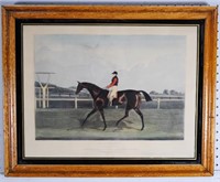 Print of a Derby Horse "Matilda"
