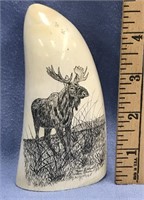 Whale's tooth 5.5" long scrimshawed with a moose b