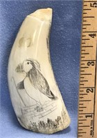 Whale's tooth 5.5" long scrimshawed with a puffin,