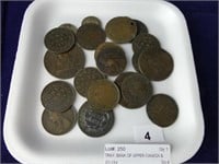 TRAY: BANK OF UPPER CANADA & EARLY CANADIAN COINS