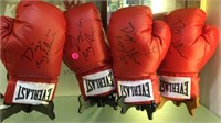 AUTOGRAPHED BOXING GLOVES DIEGO MAGDALENO