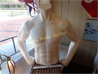 Male Torso Mannequin