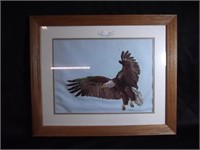 Cross stitch American Bald Eagle Picture