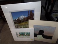 TWO(2) MATTED PHOTOGRAPHS & MATTED ART PIECE