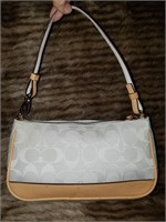 Coach #6094 Signature Demi Bag