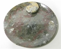 Fossil Imbedded Stone Platter - With Repairs