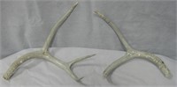 Pair Of Hand Carved Decorated Antlers -13"