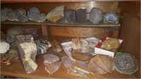 4th shelf: agates, geodes, petrified palm & more