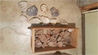 Small crate w/ petrified wood & more