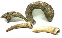 Antique Horn Sheds