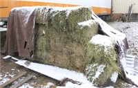 (42) Small Square Bales of First Harvest Grass