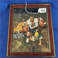 Walter Payton Framed Picture