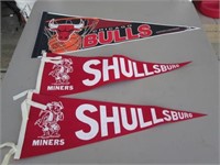 Vintage Shullsburg Miners & Chicago Bulls