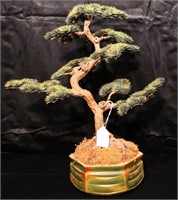 Artificial Bonsai Tree in USA Pottery