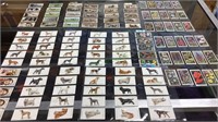 8 pages of 15 tobacco cards, wild flowers, dogs,