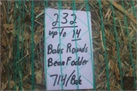 Bean Fodder-Rounds