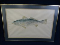 Double Matted and Framed Speckled Trout Watercolor