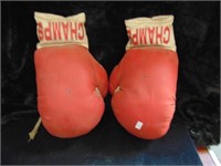 Champs Boxing Gloves