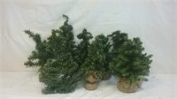 Eight Small Display Christmas Trees