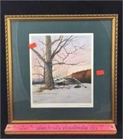 Framed Signed Print - "Winter Oak"