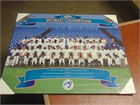 Bluejays Back To Back World Champions Plaque
