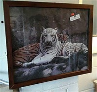Tigers / Framed Art