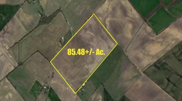 HALTER 85.48+/- KNOX CO., IN LAND ACUTION