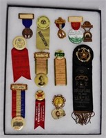 Lot of 12 Fraternal Order Metal/Celluloid Badges