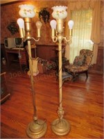 2) Floor Lamps