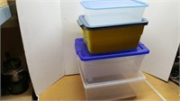 Organizing Container
