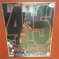 Michael Jordan "I'm Back" Picture