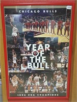 Chicago Bulls Year of the Bull Framed Print