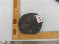 AMMONITE EMBEDDED IN OIL BEARING SHALE FROM