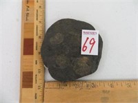 AMMONITE EMBEDDED IN OIL BEARING SHALE FROM