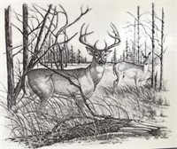 Deer Marble Etching