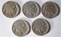 BUFFALO NICKEL LOT: