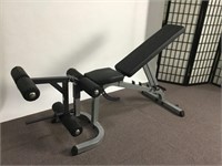 Body Solid Bench and Barbell Weights